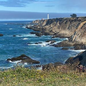 Meet your Posher, Jene